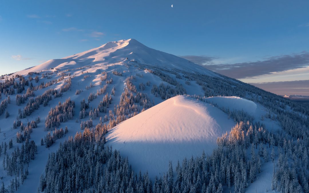 2026 Skjersaa Group Annual Calendar